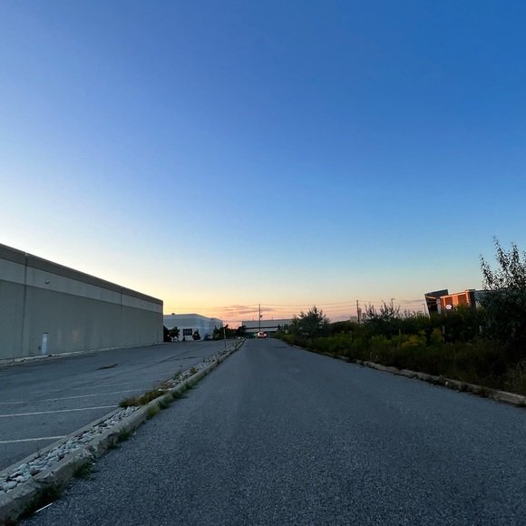 Meet your Posher, Hazel - Picture 1 of 1